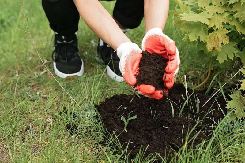 7 formas económicas de reutilizar tierra para macetas