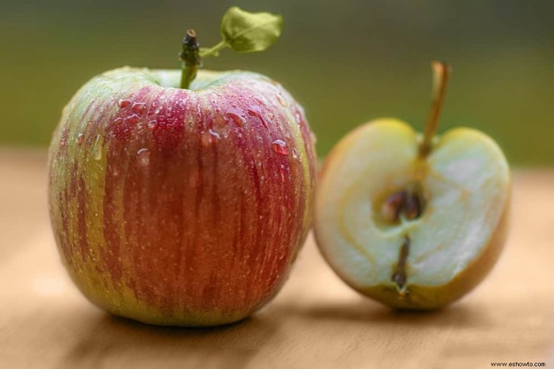 Las mejores frutas y verduras para cosechar en agosto