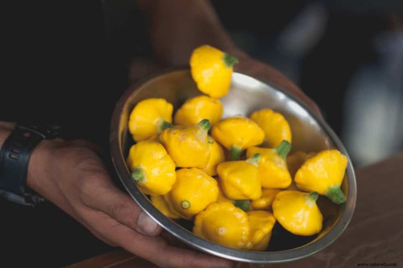 Las mejores frutas y verduras para cosechar en agosto