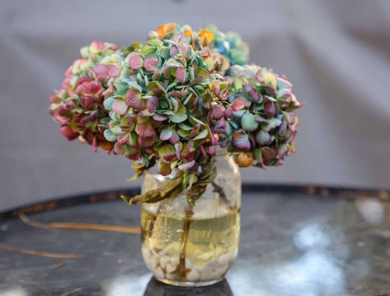 Cómo secar flores de hortensia para una decoración hogareña encantadora
