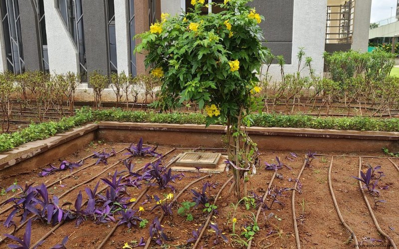 Cuándo necesita agregar tierra a su jardín