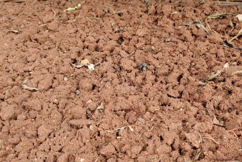 Cuándo necesita agregar tierra a su jardín