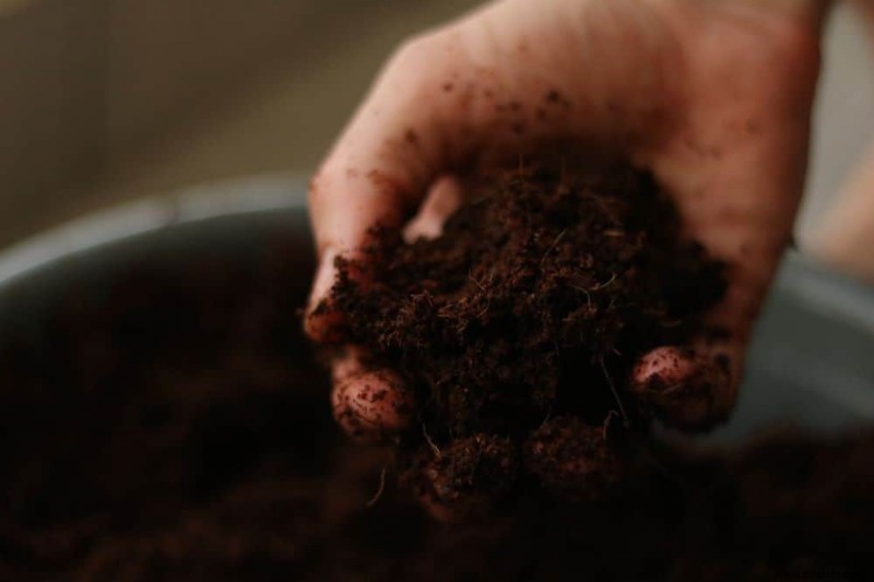 Cuándo necesita agregar tierra a su jardín