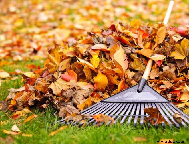 Cómo preparar su cantero para el otoño