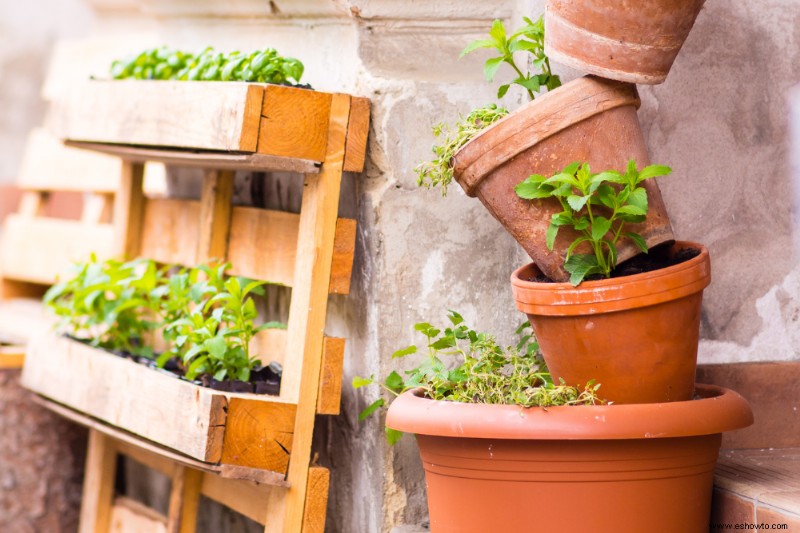 Cómo hacer un jardín apilado sencillo