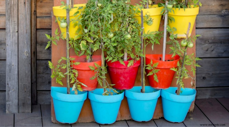 4 consejos para un jardín en contenedor exitoso