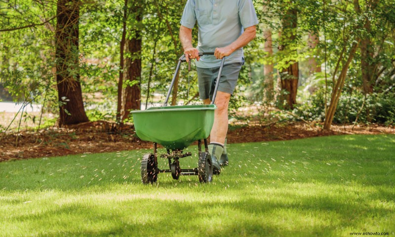 Cuándo aplicar fertilizante a su césped en otoño