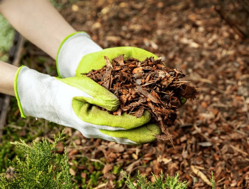 Cómo eliminar las malas hierbas sin dañar el jardín