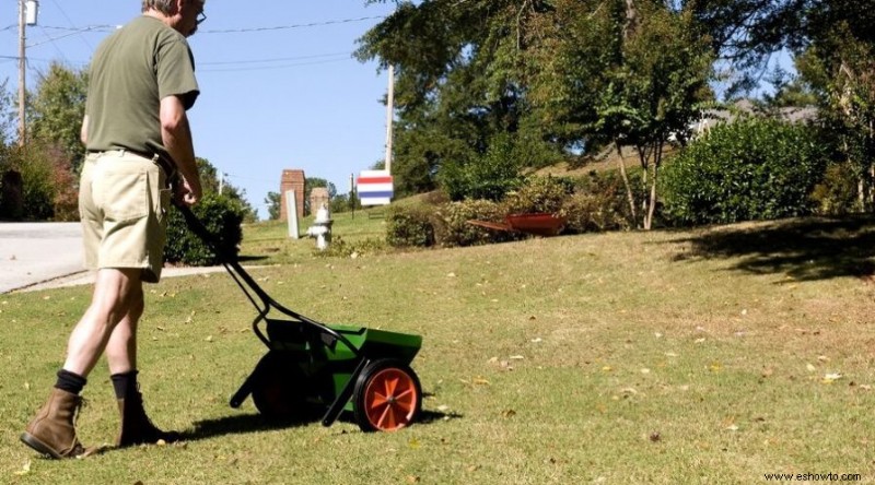 Cuánto tiempo debe permanecer fuera del césped fertilizado