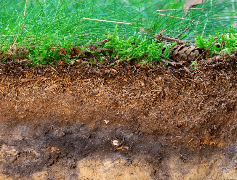 ¿Por qué debería agregar tierra vegetal a una pila de compost?