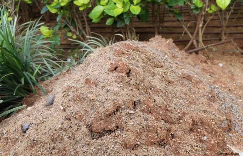¿Por qué debería agregar tierra vegetal a una pila de compost?