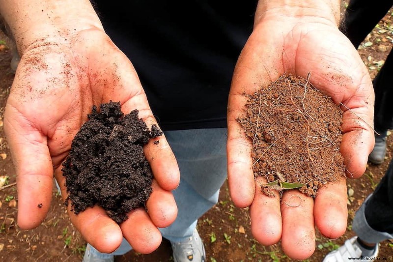 ¿Por qué debería agregar tierra vegetal a una pila de compost?