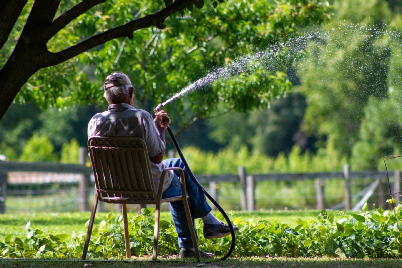 5 razones por las que el otoño es el momento perfecto para plantar en tu jardín