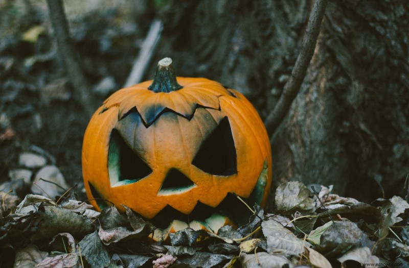 ¿El vinagre evita que las calabazas se pudran?