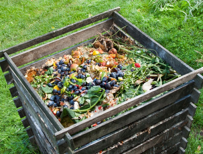 ¿Se pueden compostar las plantas de tomate?