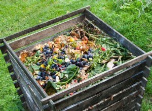 ¿Se pueden compostar las plantas de tomate? Guía experta para un compostaje seguro