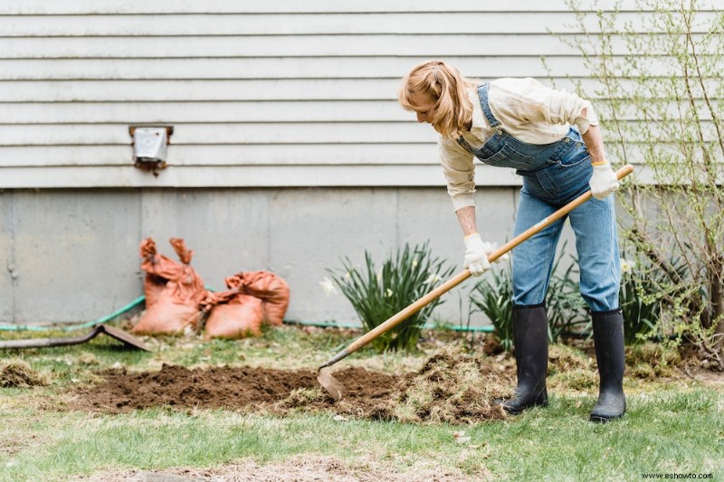 Cómo cultivar epazote en su jardín de hierbas