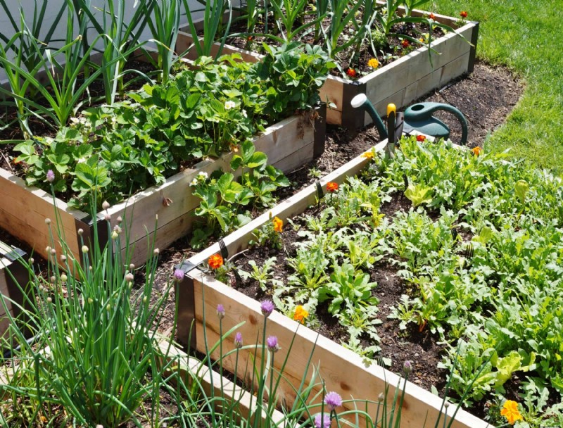 Cinco ideas modernas de jardines caseros para que seas más autosuficiente