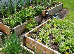 Cinco ideas modernas de jardines caseros para que seas más autosuficiente