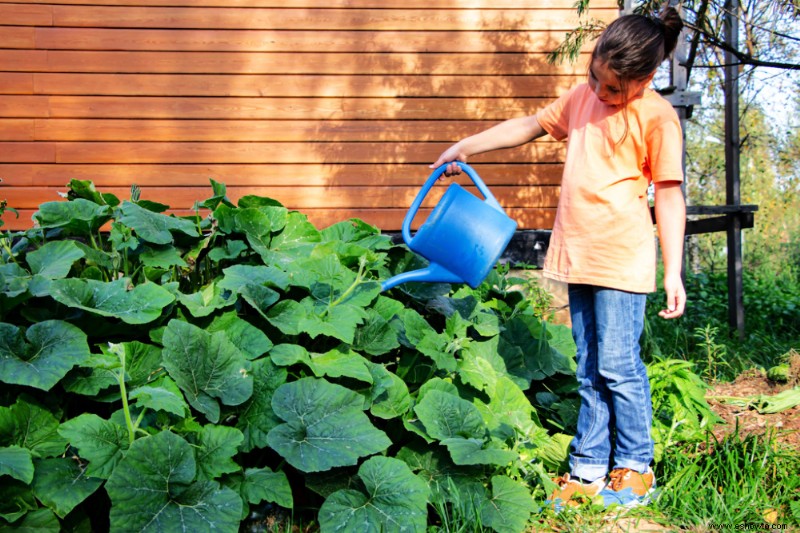 Cómo podar plantas de calabaza