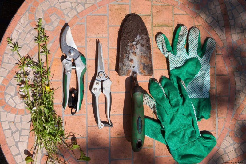 Cómo preparar su jardín para la primera helada