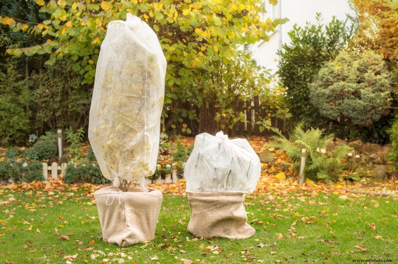 Cómo preparar su jardín para la primera helada