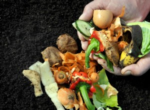 Guía experta: Cuándo y cómo agregar compost a camas de jardín perennes