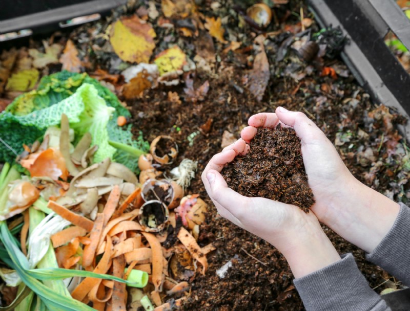 Cuándo y cómo agregar compost a las camas de jardín perennes