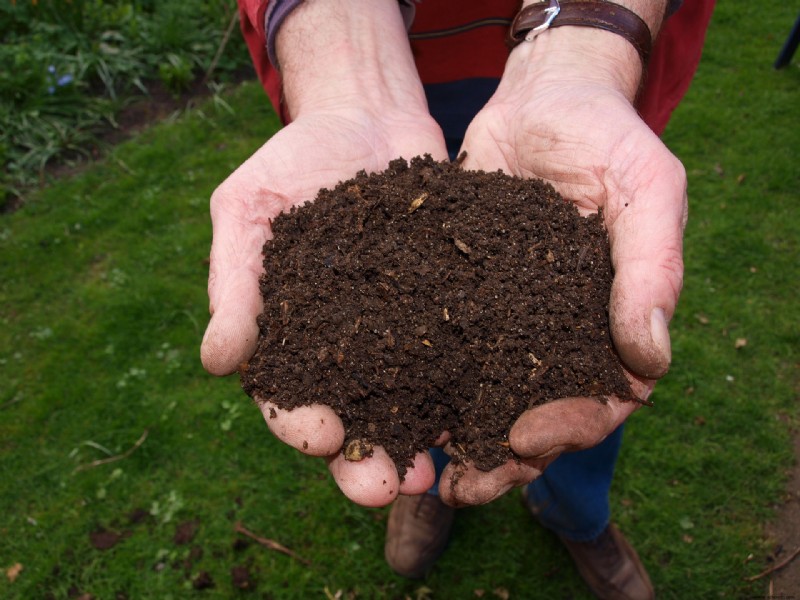 Cuándo y cómo agregar compost a las camas de jardín perennes