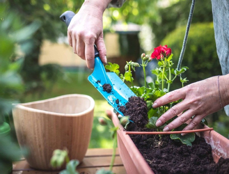 Cuándo y cómo agregar compost a las camas de jardín perennes