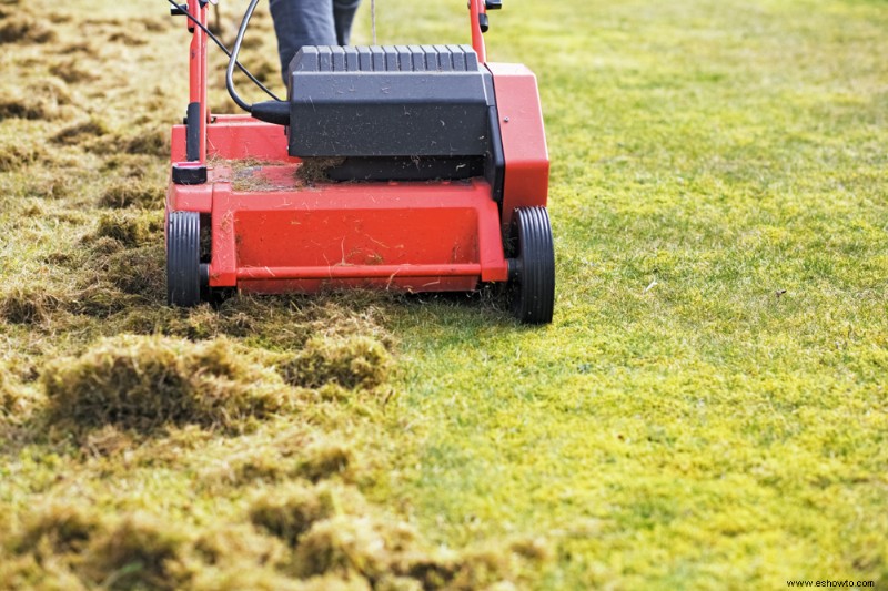 Cómo hacer fertilizante casero para el césped