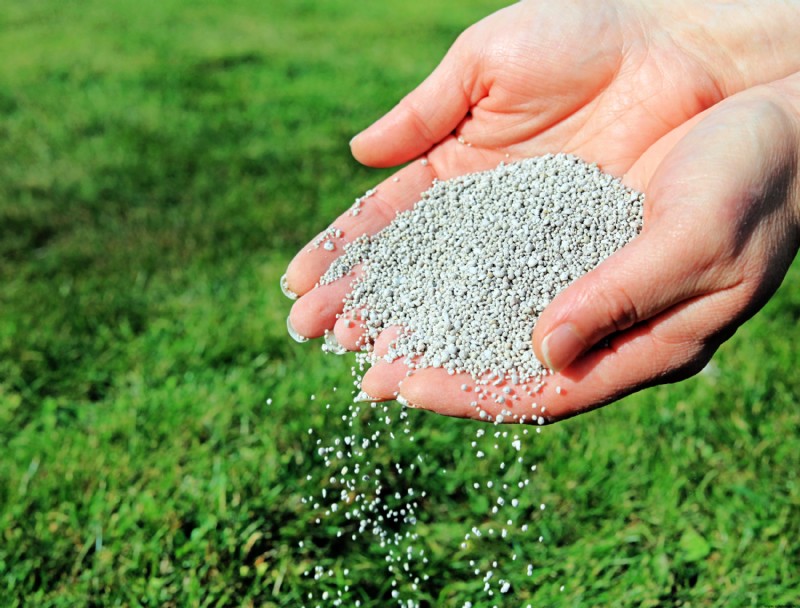 Cómo hacer fertilizante casero para el césped