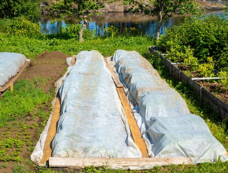 La mejor forma de utilizar tela para jardines en su jardín