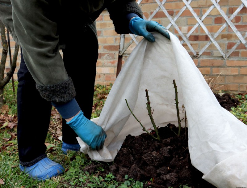 La mejor forma de utilizar tela para jardines en su jardín