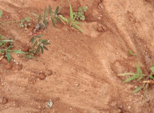 Cómo usar perlita versus vermiculita en el suelo