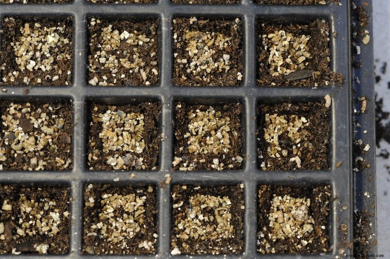 Cómo usar perlita versus vermiculita en el suelo