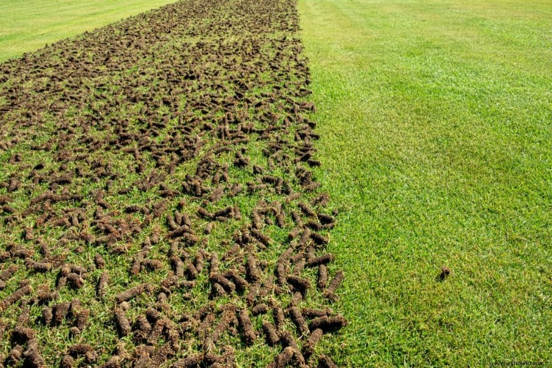 Cuándo dejar de cortar el césped en otoño