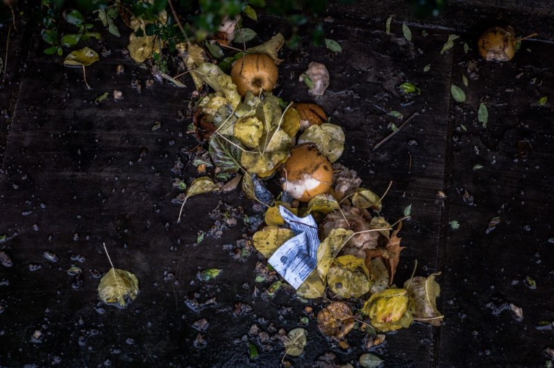 Cómo compostar hojas de otoño