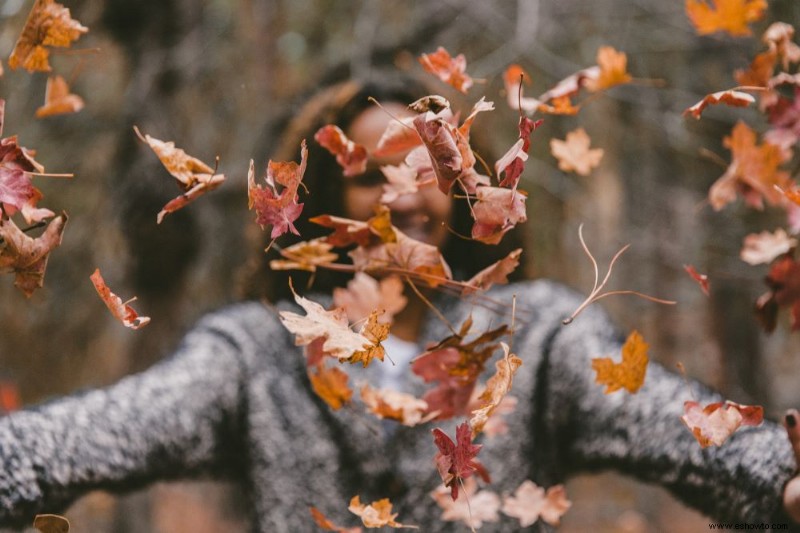 Cómo compostar hojas de otoño