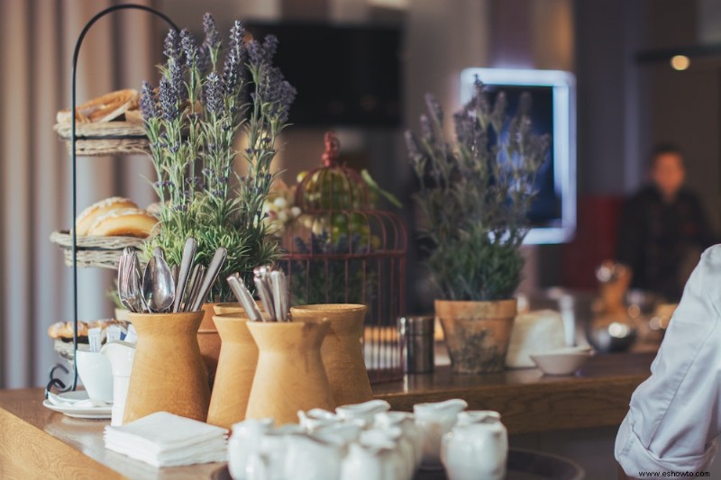 ¿Se puede cultivar lavanda en interiores?