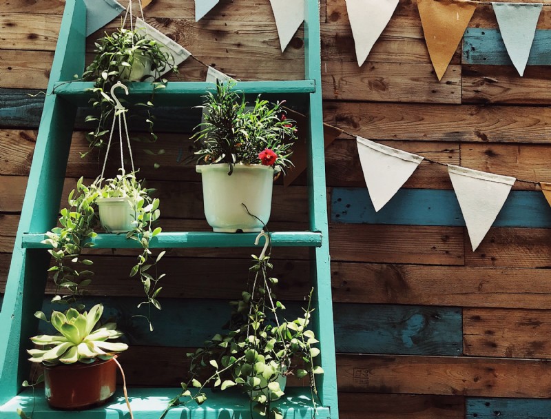 7 formas sencillas de crear un muro de jardín vertical interior