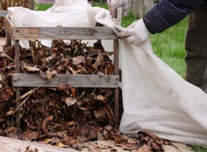 Guía experta: Cómo cuidar las hortensias en invierno para que sobrevivan al frío