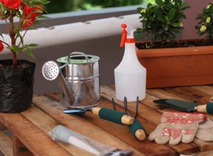 Guía experta para cultivar y cuidar fucsias como plantas de interior