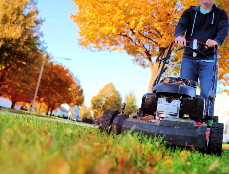 6 consejos para preparar el césped para el invierno