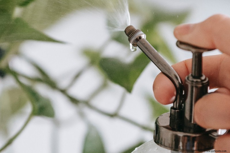 Cómo revivir una planta moribunda con peróxido de hidrógeno