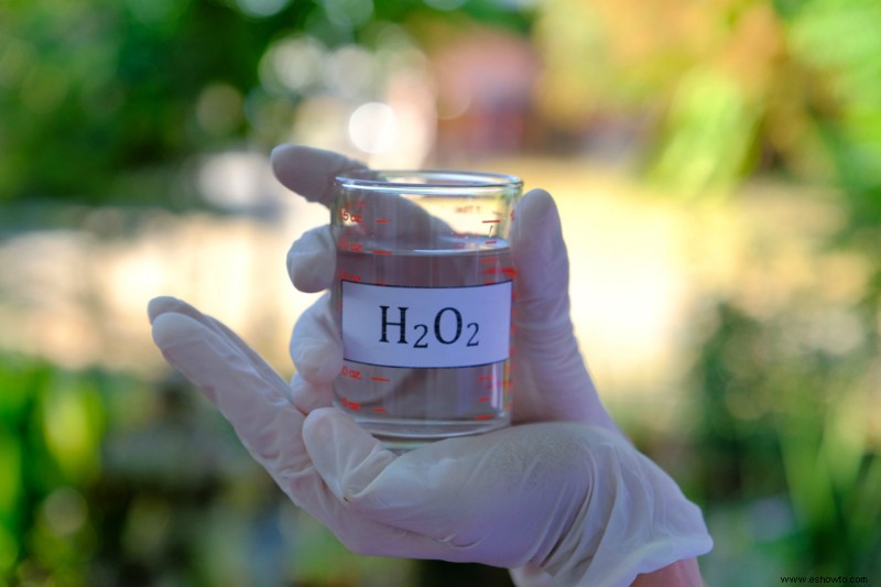 Cómo revivir una planta moribunda con peróxido de hidrógeno