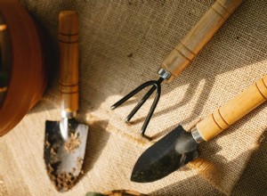 6 Pasos Esenciales para Preparar tu Jardín para el Invierno