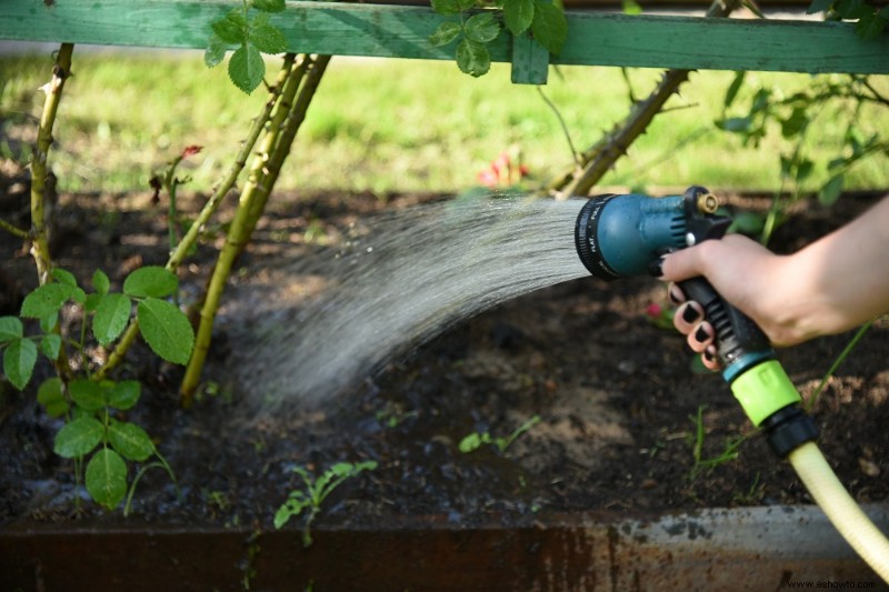 Debería fertilizar su jardín en invierno