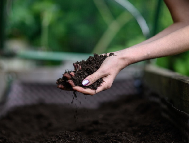 Debería fertilizar su jardín en invierno