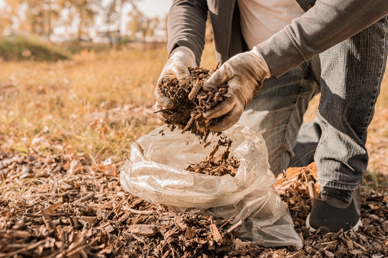 Cómo preparar tus rosas para el invierno